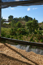 Honduras