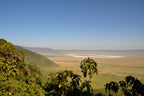 Tanzania Peaberry Plus